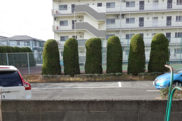 庭