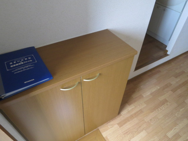 家具・家電・雑貨品設置前の室内写真となります。